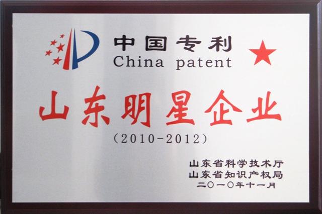 Shandong Star Enterprise for Chinese Patent